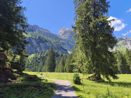 Fotografija s spletne strani Boris Sevarika na poti