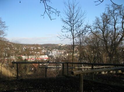 Im Lainzer Tiergarten