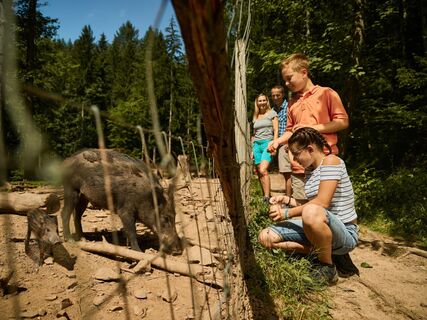 Wildgehege Bad Säckingen