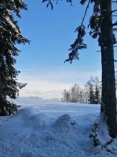 Foto de Dagmar Hofer a lo largo del recorrido