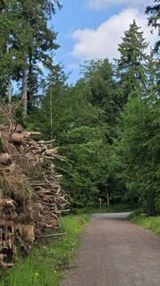 Foto von R Schaberl entlang der Tour