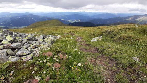 Foto från Aga M under resans gång