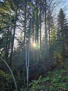 Photo from se_muck along the tour