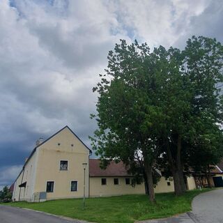 Koblhof