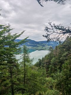 Foto von Jaxon 12 entlang der Tour