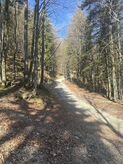 Foto von Agnes Nagy 2 entlang der Tour