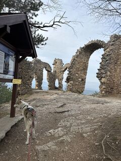Foto von Mario Loibl entlang der Tour