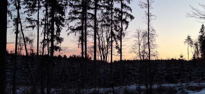 Foto de Deutsch Margit a lo largo del recorrido