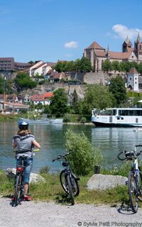 Ile du Rhin