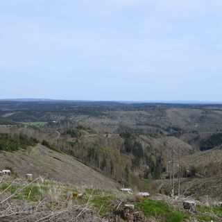 Frankenwaldblick