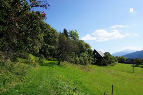 Saftige Wiesen und schönes Almfeeling nur wenige Minuten von Judenburg entfernt.