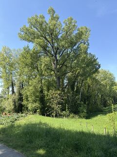 Fotografija s spletne strani Helmut Schellmann na poti