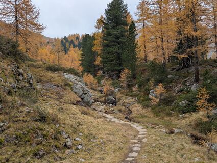 Foto von Leif entlang der Tour