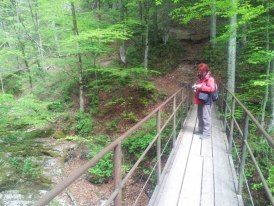 Ötschergräben - von Wienerbruck zum Mirafall