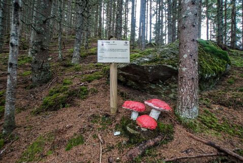 Nachbildung Speitäubling am Schwammerlweg