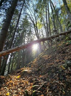 Photo from se_muck along the tour