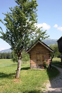 IMG_1059.JPG