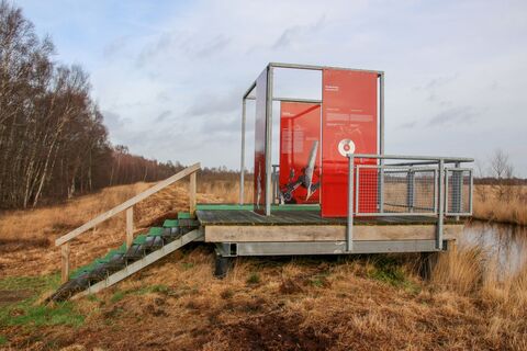 Geestmoor