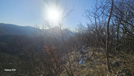 Photo de Huanita Grosman le long du parcours