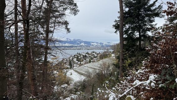 Foto von peter_oe entlang der Tour