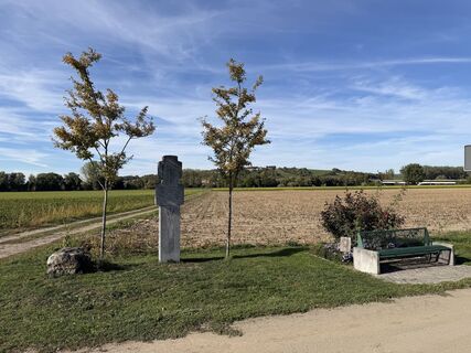 Photo de Schaali le long du parcours