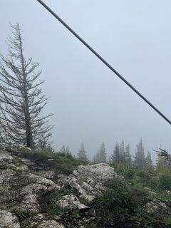 Foto von Anna Lenart entlang der Tour