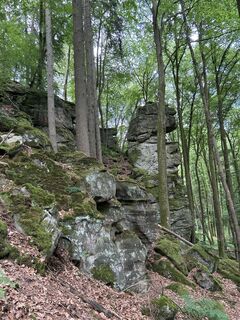 Foto von Robert Christiaans entlang der Tour