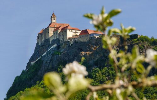 Blick auf die Riegersburg