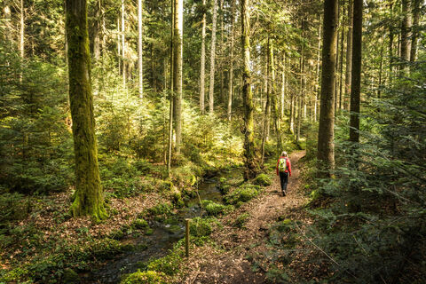 Der schmale Pfad durchs Rötelbachtal verspricht puren Wandergenuss