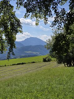 Foto von Elisabeth Zednik entlang der Tour