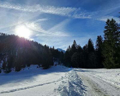 Kuva osoitteesta Grieshofer Gerlinde matkan varrella