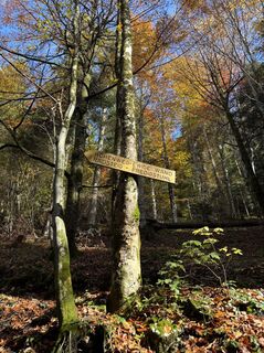 Fotografija s spletne strani Michael Kogler na poti