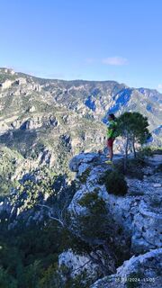 Fotó a Car Los honlapról a túra során
