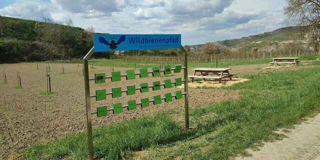 Wildbienenpfad Bild 2