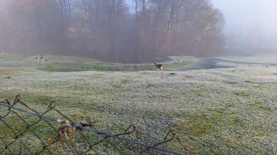 Photo from Karl Kriegseisen along the tour