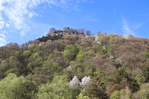 Foto von Günter Kleutsch entlang der Tour