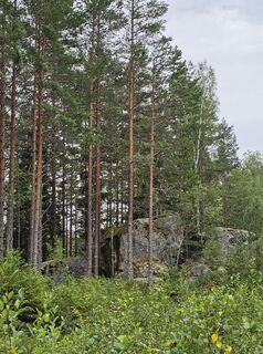 Foto von Angelika Gerung entlang der Tour