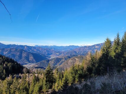 Fotó a Juliane Jarke honlapról a túra során