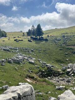 Foto da Lillo Condello lungo il tour