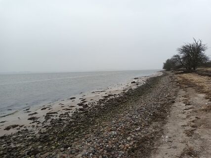 Foto de Marga a lo largo del recorrido