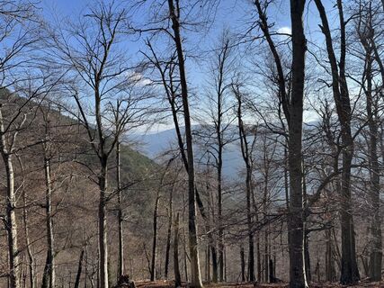 Fotografija s spletne strani Wolfgang Schroeder na poti