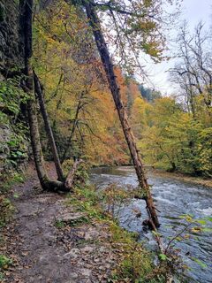 Fotografie de la Bettina Lotz de-a lungul turului