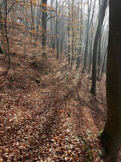 Foto von Clemens Roiß entlang der Tour