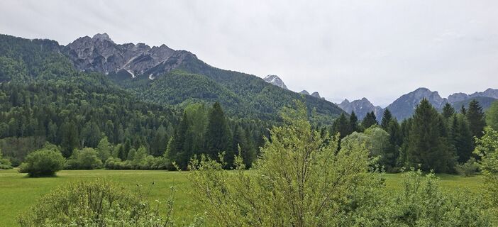 Foto von Mangolein entlang der Tour
