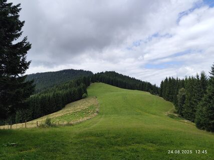 Photo de Barbara Galle le long du parcours