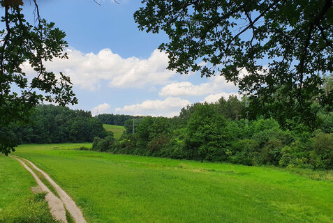 Das Elsenbachtal