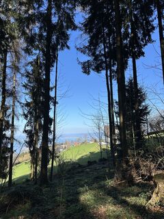 Fotografia z Cyrill Bischof na trase