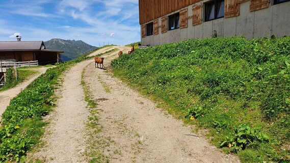 Foto von Gerrit van der Linde entlang der Tour