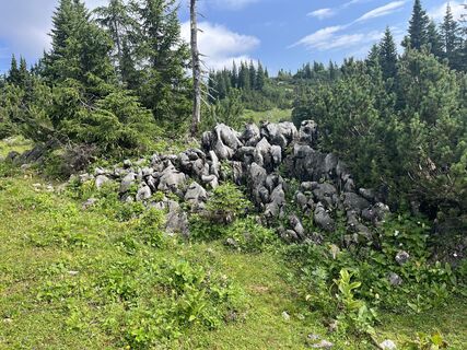 Fotografie de la Helmut Wieseneder de-a lungul turului