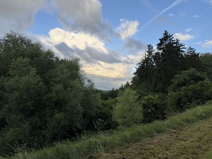 Foto von Schaali entlang der Tour